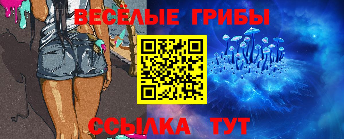Свободный  Псилоцибиновые грибы Psilocybe  Вход с VPN  Псилоцибиновые грибы Cubensis 
