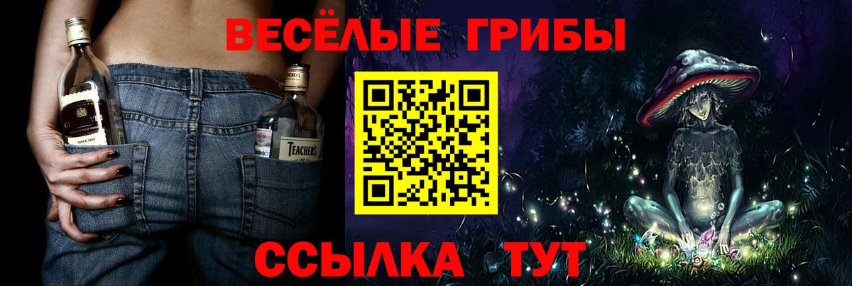 Псилоцибиновые грибы мицелий Свободный