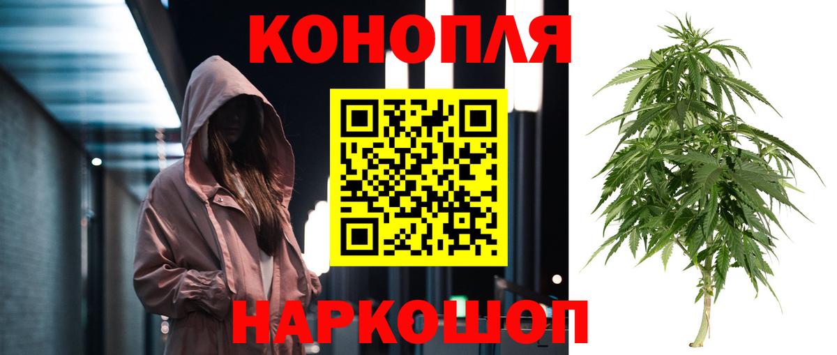 Канабис OG Kush Свободный